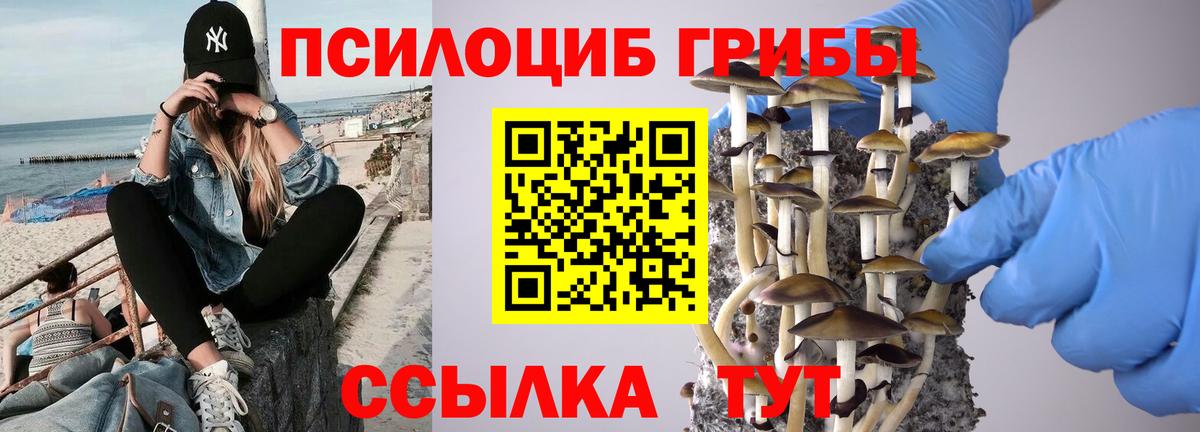 Реж  купить  цена  Псилоцибиновые грибы прущие грибы  Вход с VPN  Галлюциногенные грибы MAGIC MUSHROOMS 