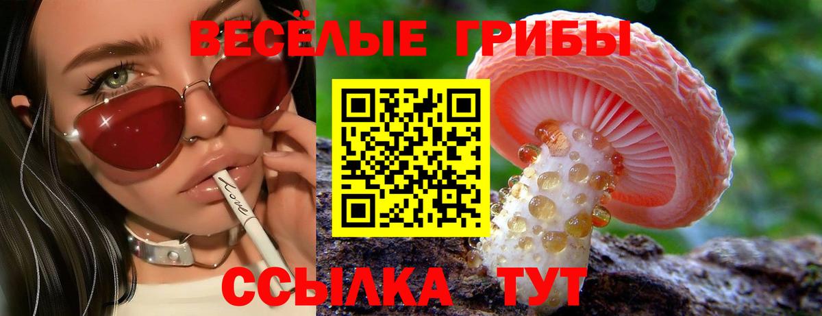 Галлюциногенные грибы Cubensis Реж
